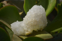 Natural Drusy Quartz Coated Calcite Pseudomorph Specimens x 6 From Lesotho - Toprock Gemstones and Minerals 