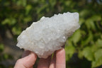 Natural Drusy Quartz Coated Calcite Pseudomorph Specimens x 6 From Lesotho - Toprock Gemstones and Minerals 
