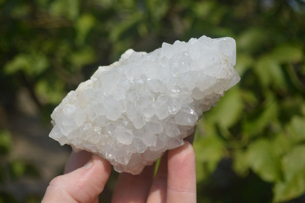 Natural Drusy Quartz Coated Calcite Pseudomorph Specimens x 6 From Lesotho - Toprock Gemstones and Minerals 