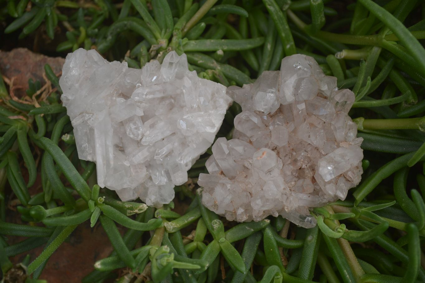 Natural Clear Quartz Crystal Clusters x 24 From Madagascar - Toprock Gemstones and Minerals 