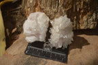 Natural Clear Quartz Crystal Clusters x 24 From Madagascar - Toprock Gemstones and Minerals 