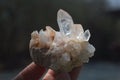 Natural Clear Quartz Crystal Clusters x 24 From Madagascar - Toprock Gemstones and Minerals 
