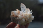Natural Clear Quartz Crystal Clusters x 24 From Madagascar - Toprock Gemstones and Minerals 