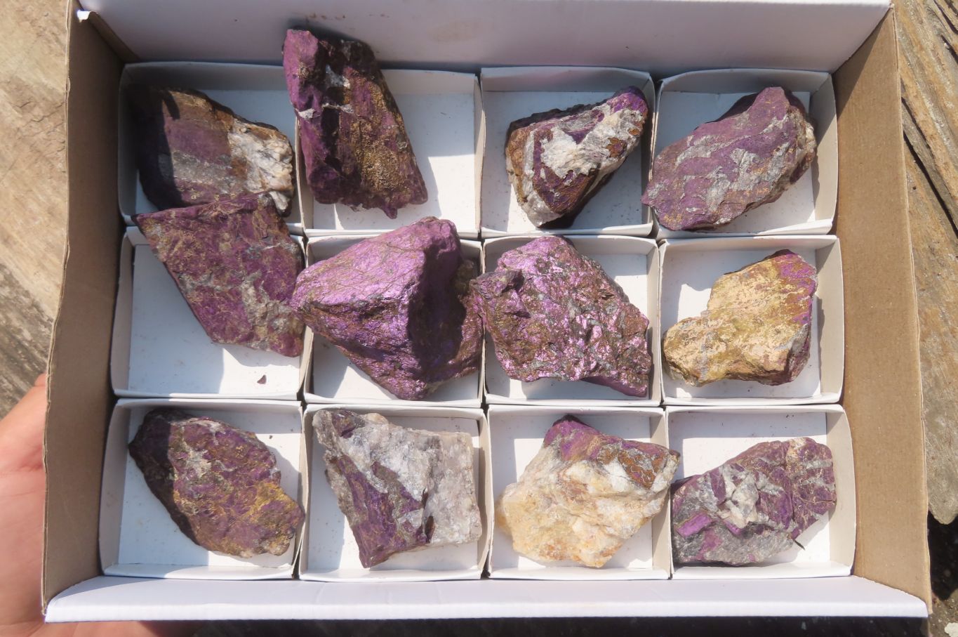 Natural Metallic Purpurite Cobbed Specimens x 12 From Erongo, Namibia - Toprock Gemstones and Minerals 