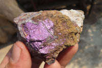 Natural Metallic Purpurite Cobbed Specimens x 12 From Erongo, Namibia - Toprock Gemstones and Minerals 