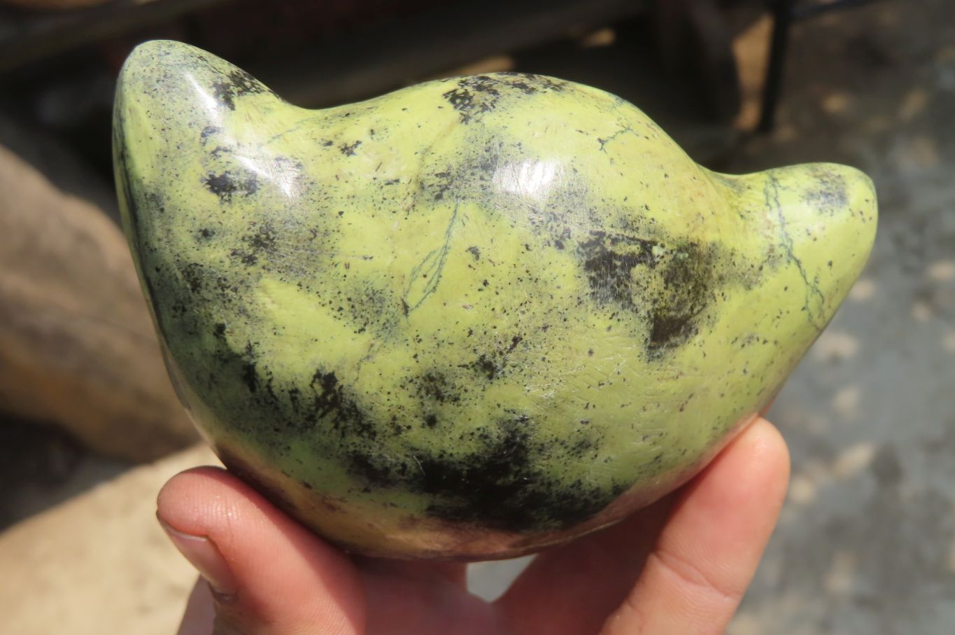 Polished Leopard Stone Cat Face Carvings x 3 From Zimbabwe - Toprock Gemstones and Minerals 