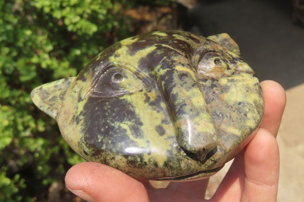 Polished Leopard Stone Cat Face Carvings x 3 From Zimbabwe - Toprock Gemstones and Minerals 