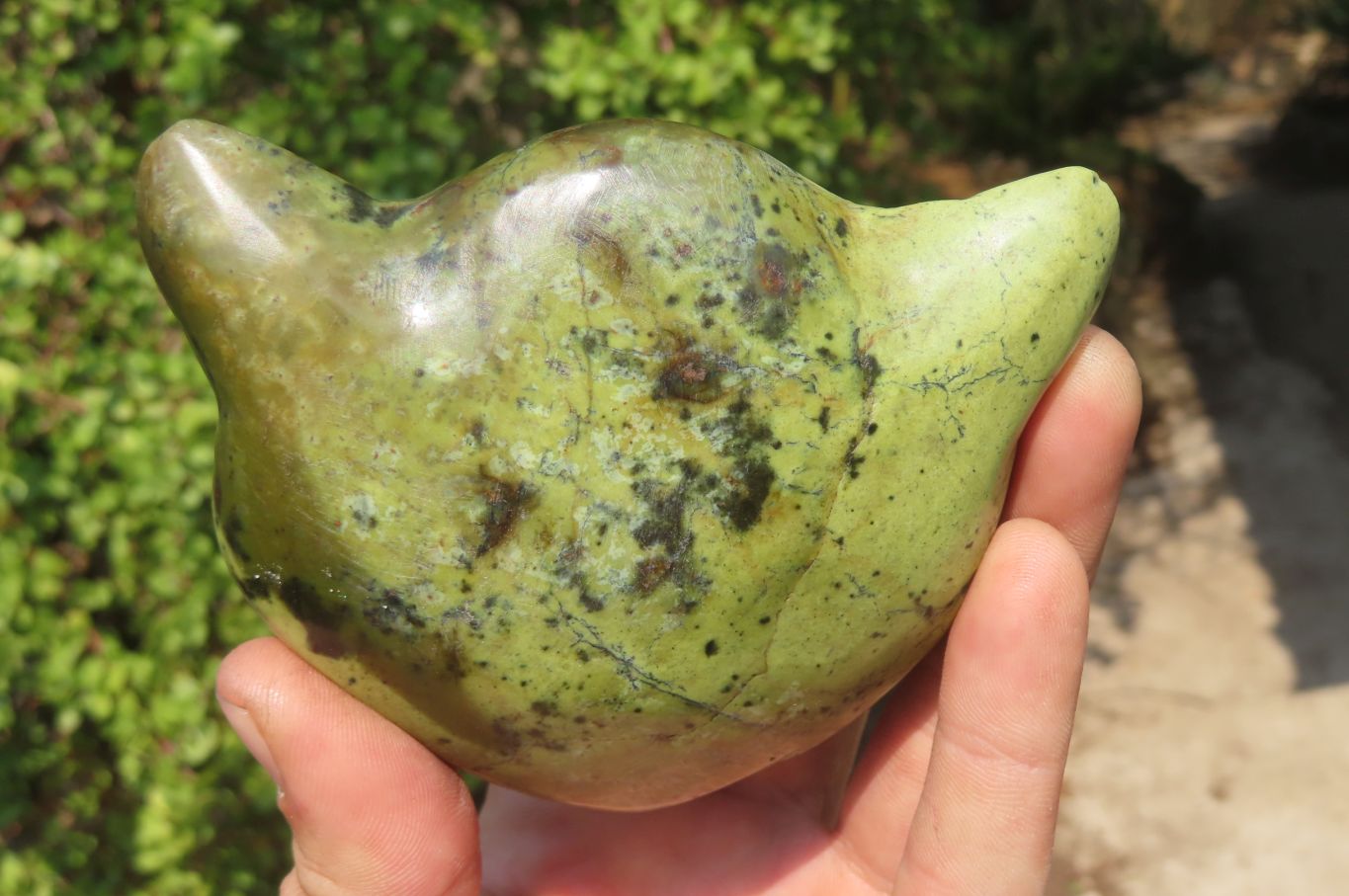 Polished Leopard Stone Cat Face Carvings x 3 From Zimbabwe - Toprock Gemstones and Minerals 