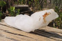 Natural Etched Clear Quartz Crystal Specimens x 2 From Madagascar - Toprock Gemstones and Minerals 