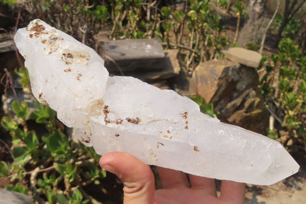 Natural Etched Clear Quartz Crystal Specimens x 2 From Madagascar - Toprock Gemstones and Minerals 