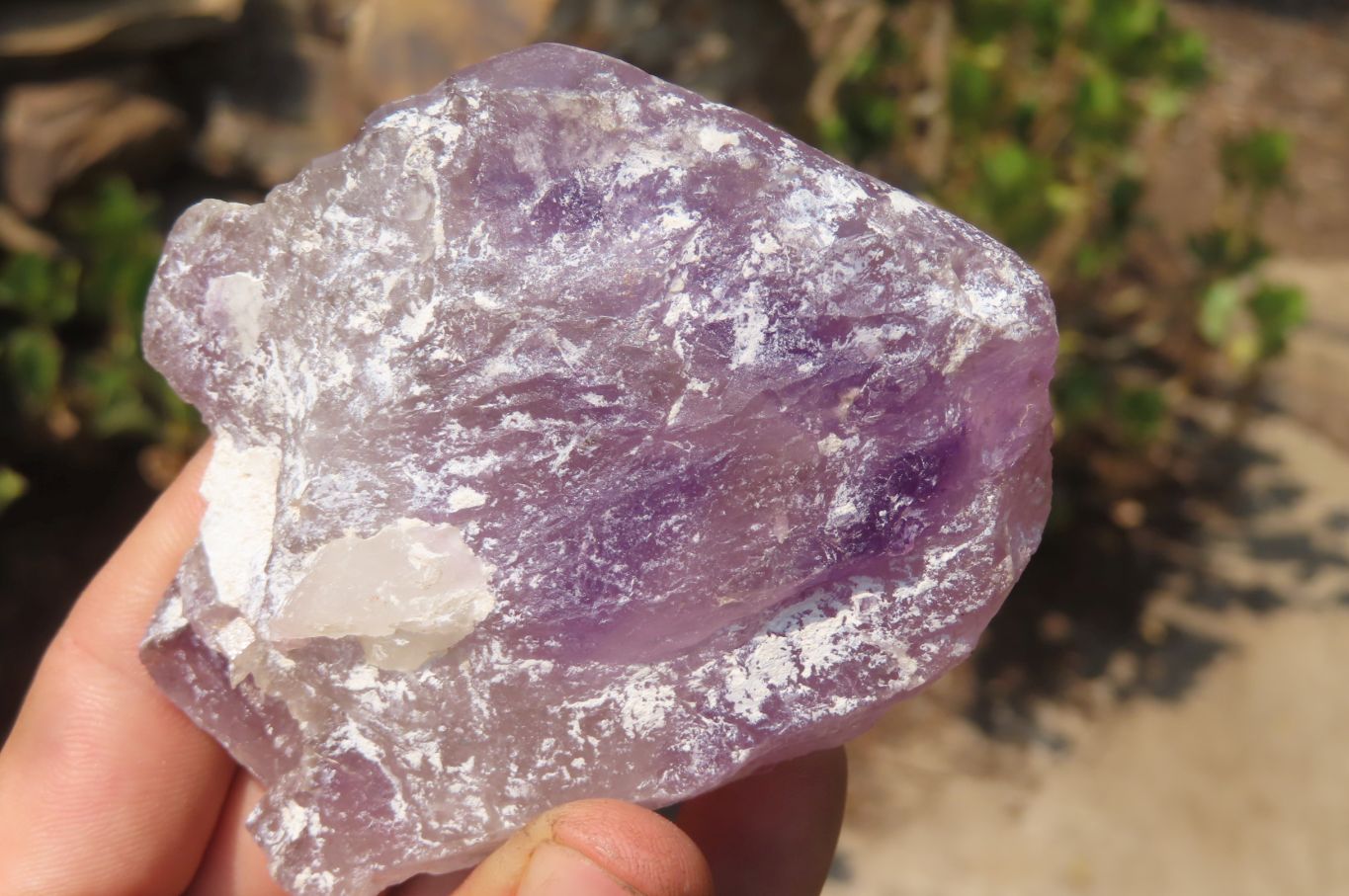 Natural Window Amethyst Quartz Crystals x 4 From Madagascar - Toprock Gemstones and Minerals 