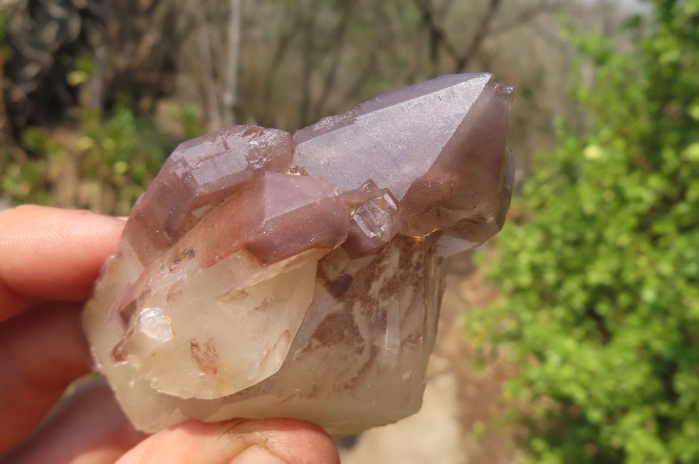 Natural Hematoid Quartz Crystals x 12 From Karoi, Zimbabwe - Toprock Gemstones and Minerals 