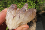 Natural Hematoid Quartz Crystals x 12 From Karoi, Zimbabwe - Toprock Gemstones and Minerals 