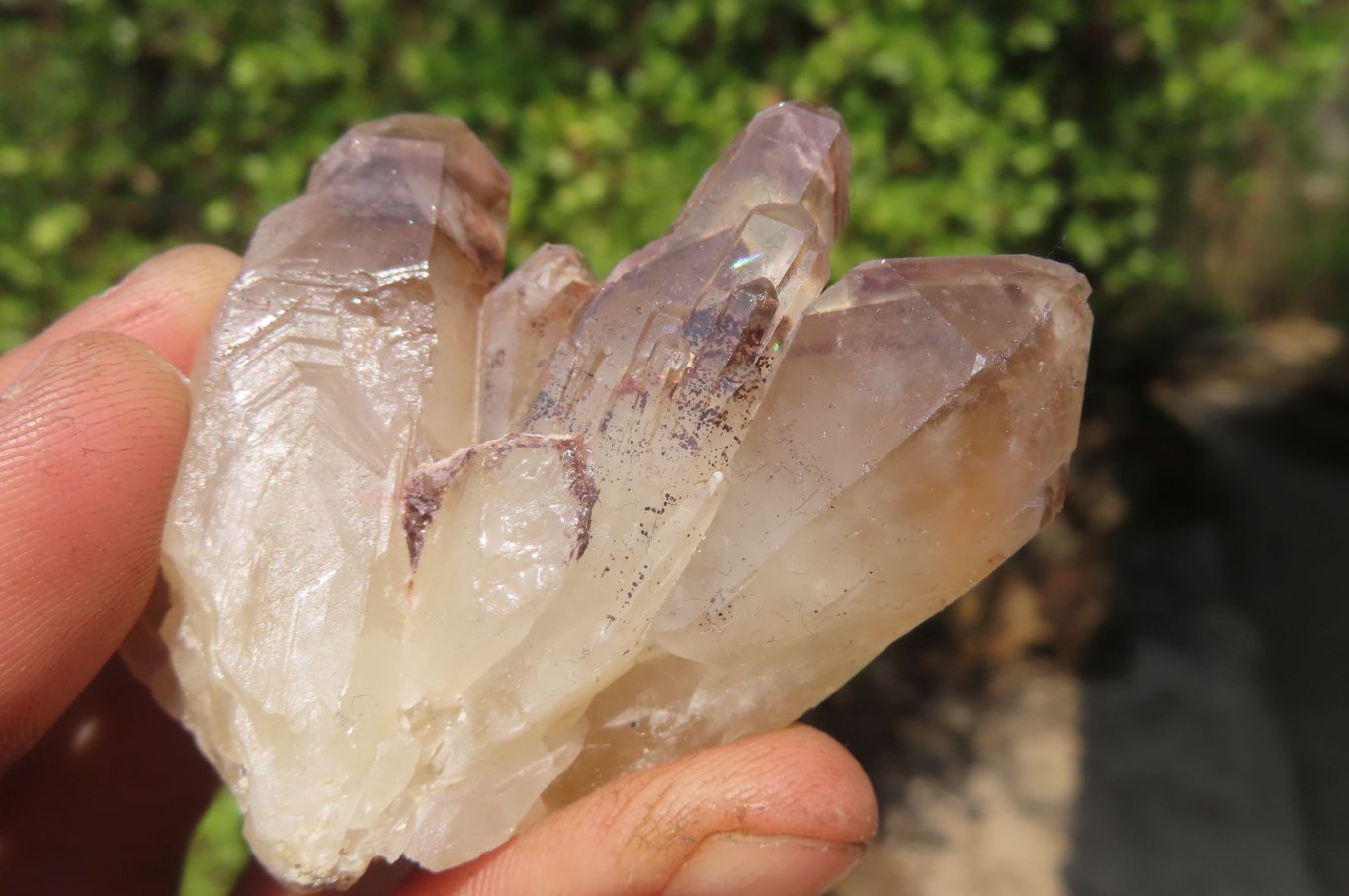 Natural Hematoid Quartz Crystals x 12 From Karoi, Zimbabwe - Toprock Gemstones and Minerals 