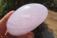 Polished Blue Rose Quartz Standing Free Forms x 3 From Madagascar - Toprock Gemstones and Minerals 