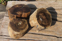 Polished Petrified Wood Branch Pieces x 3 From Gokwe, Zimbabwe - Toprock Gemstones and Minerals 