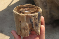Polished Petrified Wood Branch Pieces x 3 From Gokwe, Zimbabwe - Toprock Gemstones and Minerals 