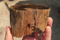 Polished Petrified Wood Branch Pieces x 3 From Gokwe, Zimbabwe - Toprock Gemstones and Minerals 