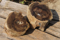 Polished Petrified Wood Branch Pieces x 3 From Gokwe, Zimbabwe - Toprock Gemstones and Minerals 