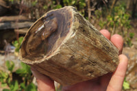 Polished Petrified Wood Branch Pieces x 3 From Gokwe, Zimbabwe - Toprock Gemstones and Minerals 