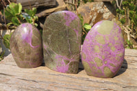 Polished Stichtite Standing Free Forms x 3 From Barberton, South Africa - Toprock Gemstones and Minerals 