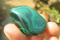 Polished Flower Banded Malachite Free Forms x 35 From Congo - Toprock Gemstones and Minerals 