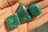 Polished Flower Banded Malachite Free Forms x 35 From Congo - Toprock Gemstones and Minerals 
