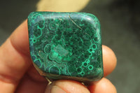 Polished Flower Banded Malachite Free Forms x 35 From Congo - Toprock Gemstones and Minerals 