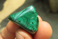 Polished Flower Banded Malachite Free Forms x 35 From Congo - Toprock Gemstones and Minerals 
