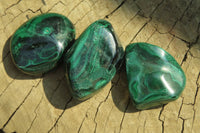 Polished Flower Banded Malachite Free Forms x 35 From Congo - Toprock Gemstones and Minerals 