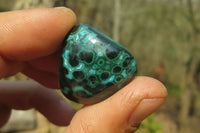 Polished Flower Banded Malachite Free Forms x 35 From Congo - Toprock Gemstones and Minerals 