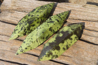 Polished Double Terminated Leopard Stone Points x 3 From Zimbabwe - Toprock Gemstones and Minerals 