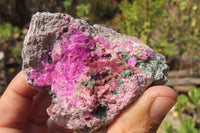 Natural Salrose Cobaltion Dolomite Specimens x 6 From Kakanda, Congo - Toprock Gemstones and Minerals 