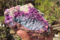 Natural Salrose Cobaltion Dolomite Specimens x 6 From Kakanda, Congo - Toprock Gemstones and Minerals 