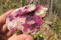 Natural Salrose Cobaltion Dolomite Specimens x 6 From Kakanda, Congo - Toprock Gemstones and Minerals 