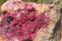 Natural Salrose Cobaltion Dolomite Specimens x 6 From Kakanda, Congo - Toprock Gemstones and Minerals 