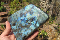 Polished Labradorite Standing Free Form x 1 From Tulear, Madagascar - Toprock Gemstones and Minerals 