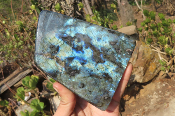 Polished Labradorite Standing Free Form x 1 From Tulear, Madagascar - Toprock Gemstones and Minerals 