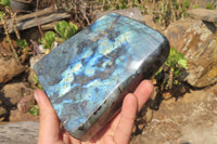 Polished Labradorite Standing Free Form x 1 From Tulear, Madagascar - Toprock Gemstones and Minerals 