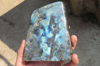 Polished Labradorite Standing Free Form x 1 From Tulear, Madagascar - Toprock Gemstones and Minerals 