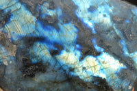 Polished Labradorite Standing Free Form x 1 From Tulear, Madagascar - Toprock Gemstones and Minerals 