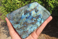 Polished Labradorite Standing Free Form x 1 From Tulear, Madagascar - Toprock Gemstones and Minerals 