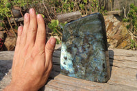 Polished Labradorite Standing Free Form x 1 From Tulear, Madagascar - Toprock Gemstones and Minerals 