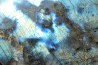 Polished Labradorite Standing Free Form x 1 From Tulear, Madagascar - Toprock Gemstones and Minerals 