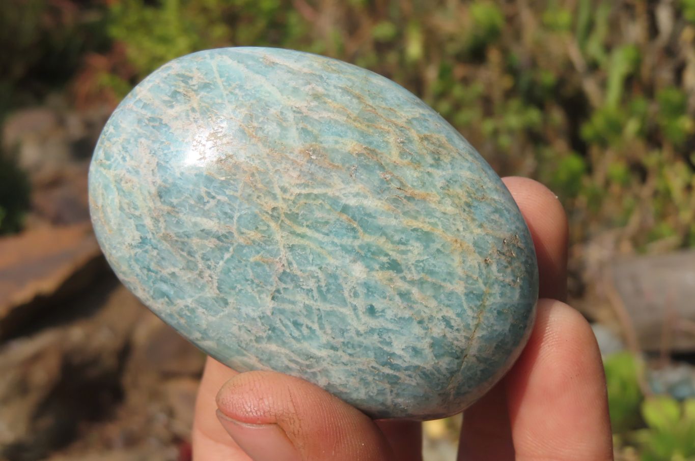 Polished Amazonite Palm Stones x 12 From Zimbabwe - Toprock Gemstones and Minerals 