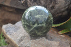 Polished Leopard Stone Sphere With Rosewood Stand x 2 From Zimbabwe - Toprock Gemstones and Minerals 