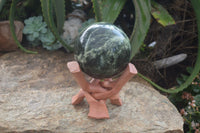 Polished Leopard Stone Sphere With Rosewood Stand x 2 From Zimbabwe - Toprock Gemstones and Minerals 