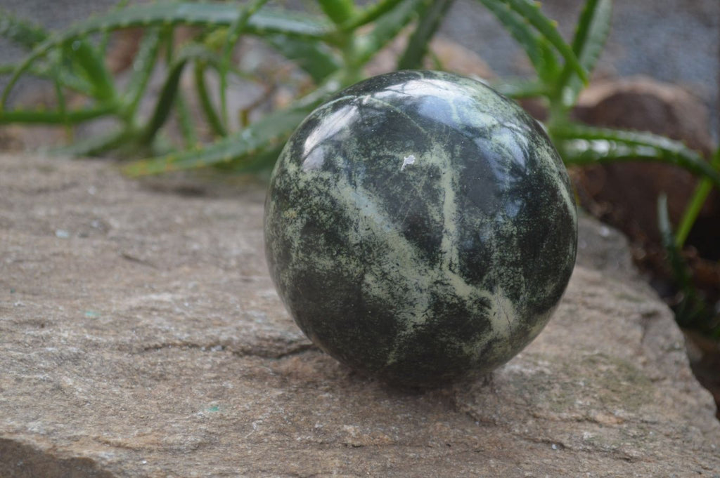 Polished Leopard Stone Sphere With Rosewood Stand x 2 From Zimbabwe - Toprock Gemstones and Minerals 