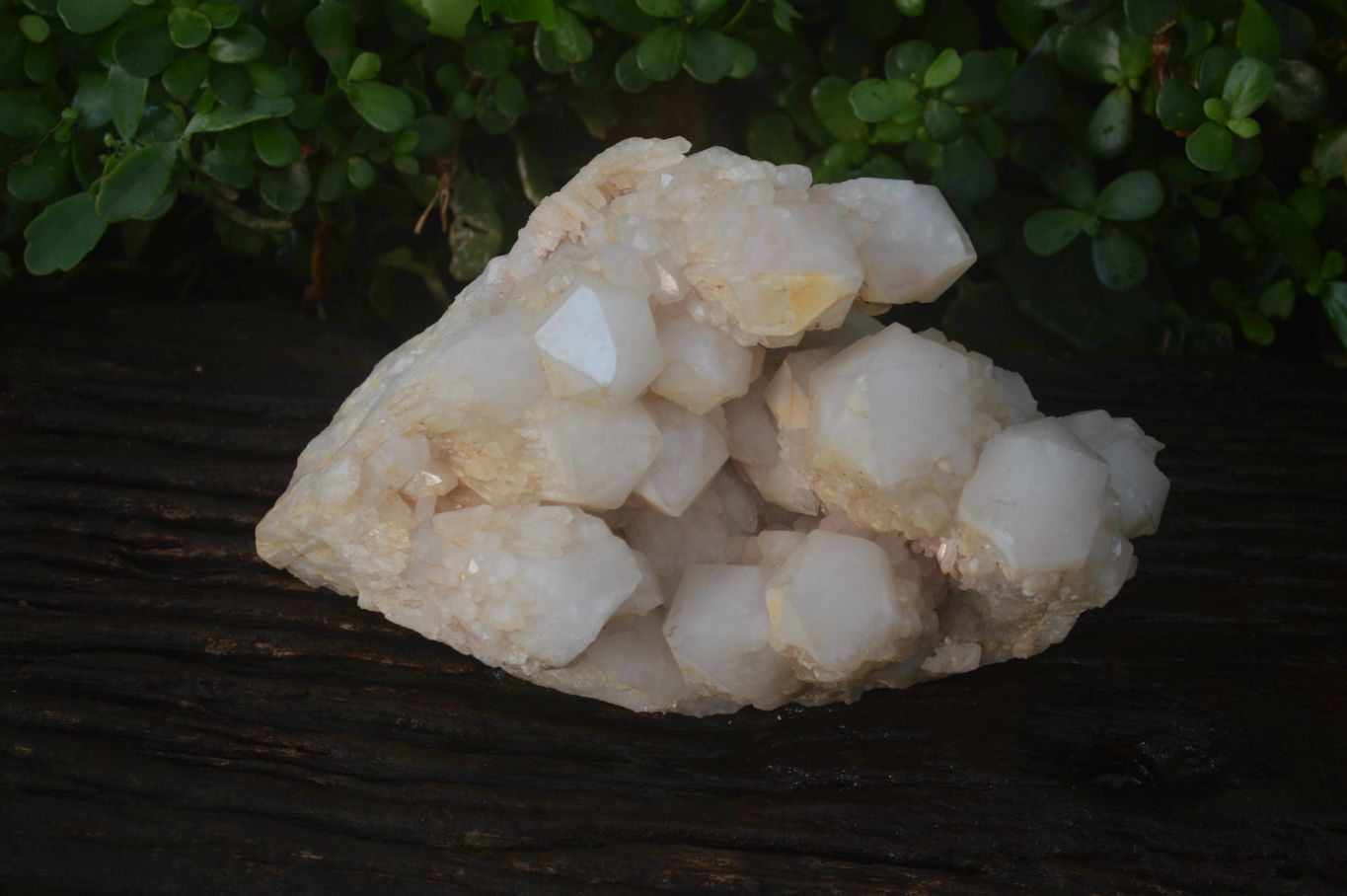 Natural Cascading Candle Quartz Cluster x 1 From Madagascar - Toprock Gemstones and Minerals 