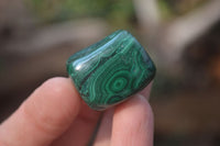 Polished Flower Banded Malachite Free Forms x 35 From Congo - Toprock Gemstones and Minerals 